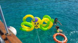 Dea boat tours